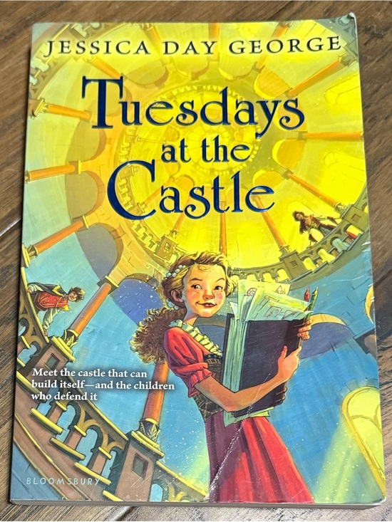 Other - “Tuesdays at the Castle” Kid’s Chapter Book, for Ages 10+